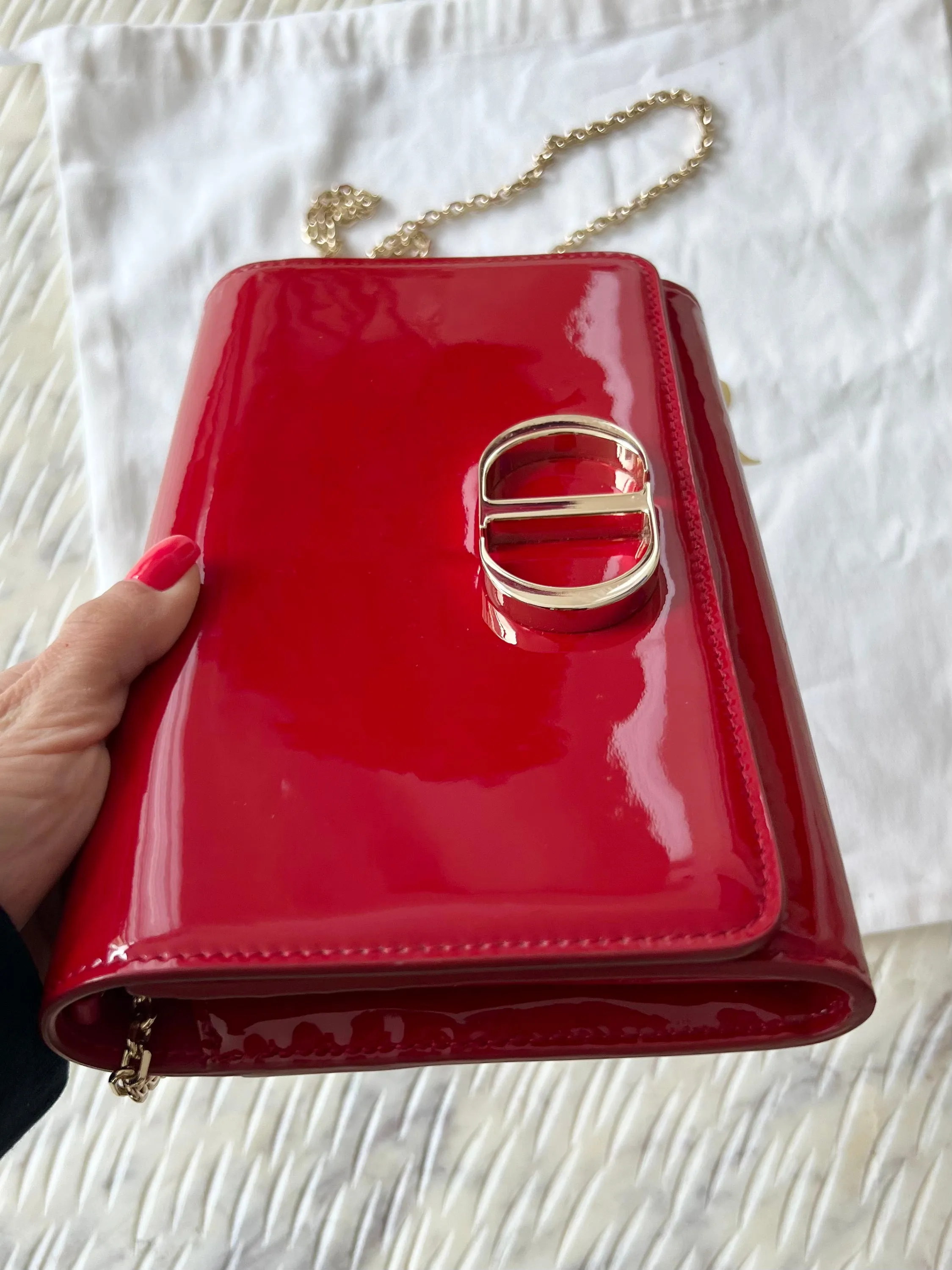 Christian Dior Montaigne Pouch