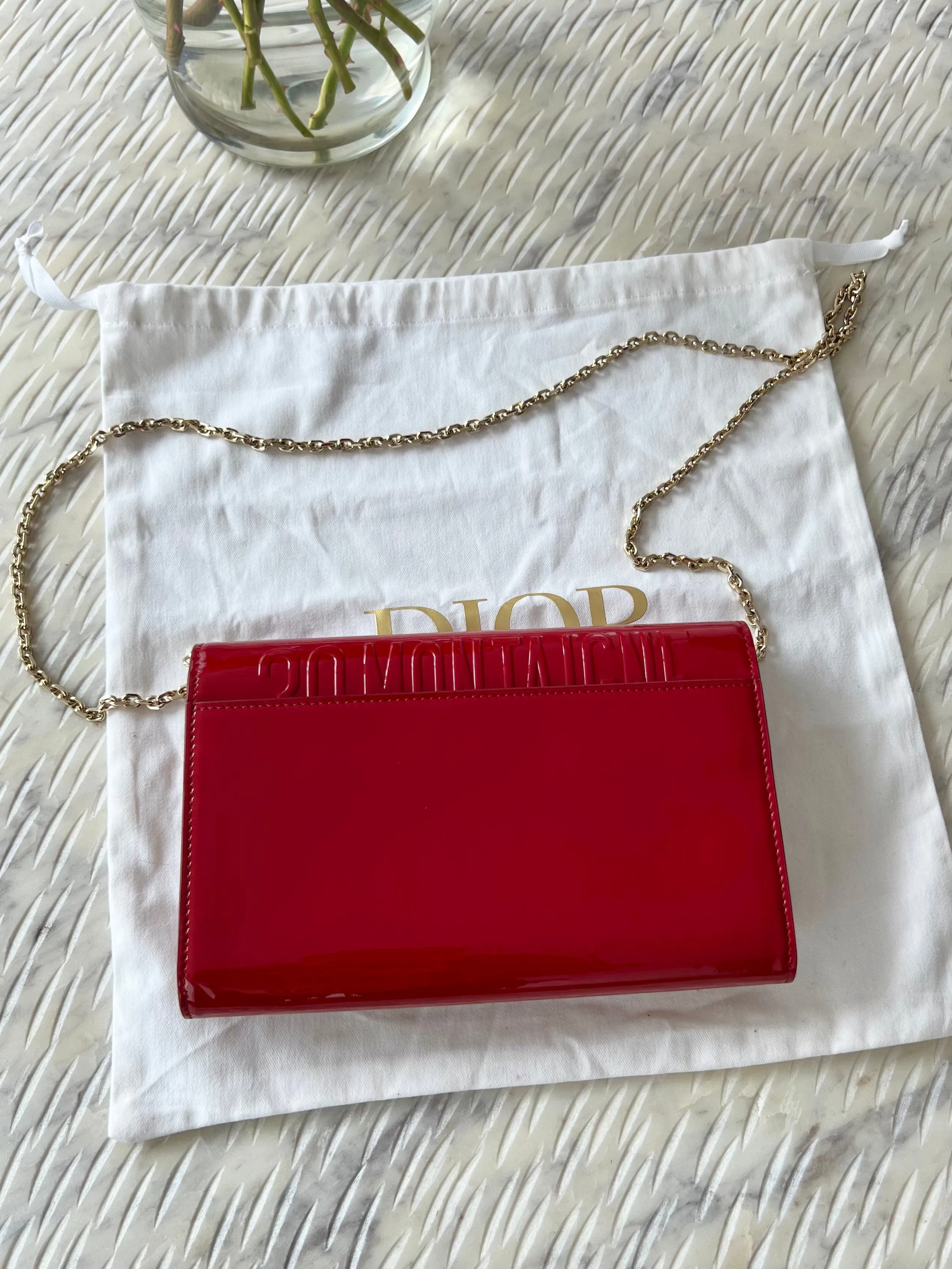 Christian Dior Montaigne Pouch