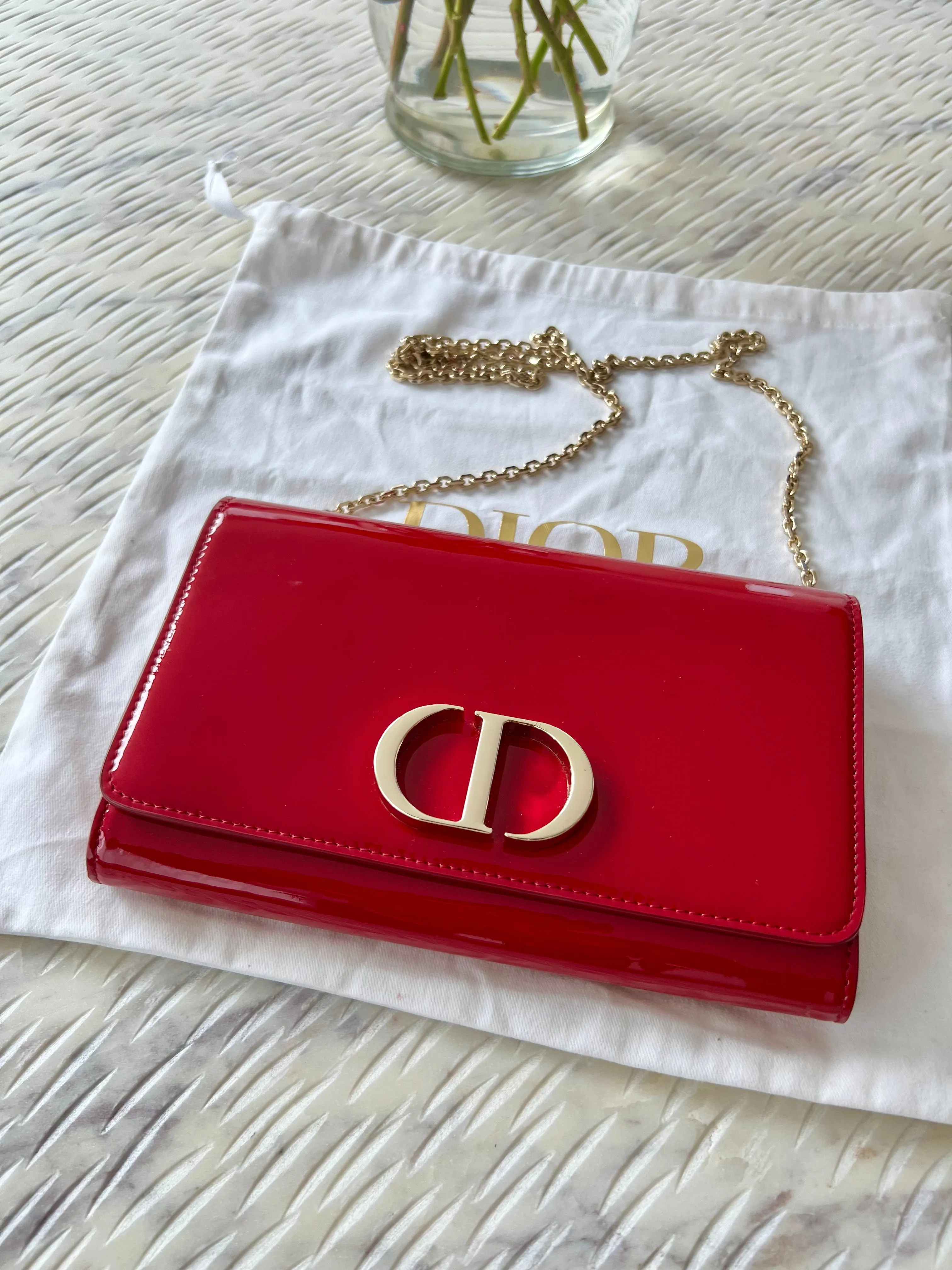 Christian Dior Montaigne Pouch